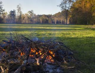 Brush pile in field