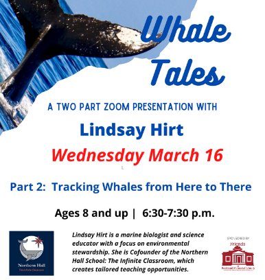 illustration with the tale of a whale visible above the surface of the ocean